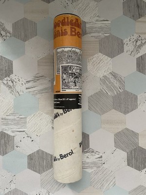 Berol Doodle Art Prints In Original Tube 1973 Vintage 15  X 11 