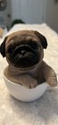 Pug Puppy Dog Figurine, Sitting Pug in White Teacup, Dog Collectible Decor — photo 5