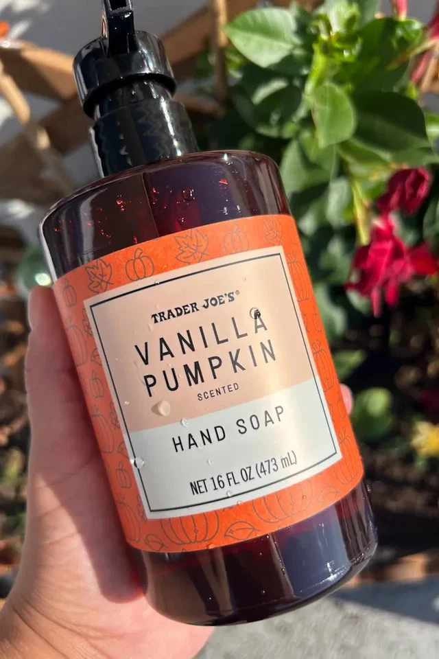 Paquete de 2 jabones de manos perfumados con calabaza vainilla Trader Joe's 16 oz cada botella de bomba Foto 2 de 3