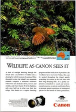Canon EOS Camera Lord Howe Woodhen Original Vintage Print Ad
