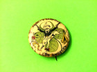 Roosevelt Teddy’s Terrors pin Los Angeles — photo 1