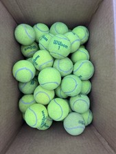 Lot Of 53 Slightly Used Penn Wilson Dunlop Franklin Tennis Balls
