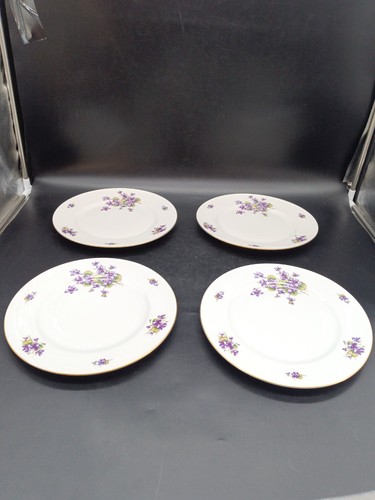 4 Vtg Eschenbach Bavaria Germany Violets P589 Dinner Plates 10 1/2” W