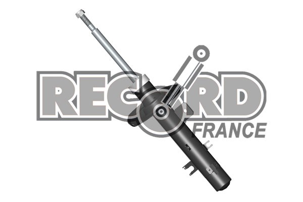 Amortisseur RECORD FRANCE 214837 bi-tube hydraulique haute stabilité (Jeu de 2)