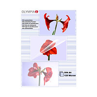 Olympia 1x100 DIN A4 125 micron Trasparente A4 100 pezzo(i) Varie 9176