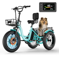 MOONCOOL Electric Tricycle for Adults Fat Tires 48V 500W E-Trike w/ Two Basket