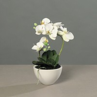 Orchidee Phalaenopsis Weiß H.35Cm In Keramikschale Kunstpflanze Kunstblume Deko