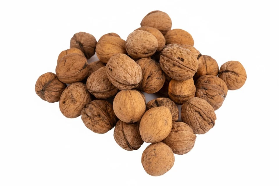 Walnüsse mit Schale von 1-100 kg – Getrocknet, Kalibriert, Ernte 2025 aus Polen - Bild 2 von 4