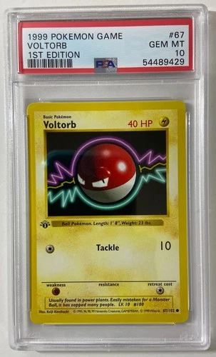 Pokemon - Base Set 1st Edit. 1999 Shadowless "VOLTROB" PSA 10 Gem/Mint #67/102.