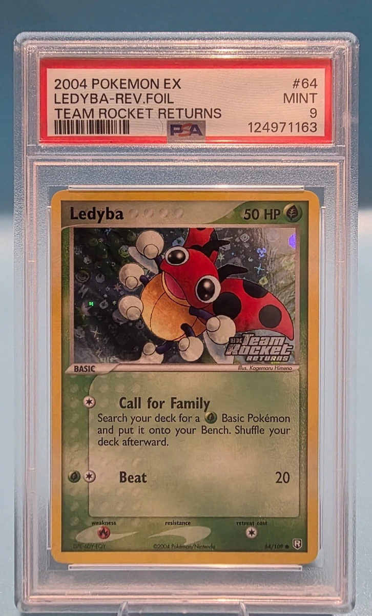 Ledyba