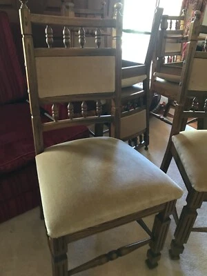 8 Chair Dining Chair Set Dining Chairs Gumtree Australia Gungahlin Area Gungahlin 1265696193