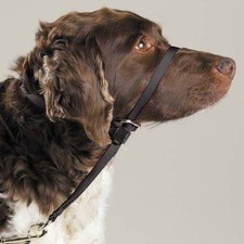 Gentle Leader Dog Head Collars - Training Stop Pulling Lunging Unwanted behavior