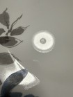 Bild 12 von 21