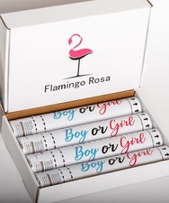 Gender Reveal Confetti Powder Cannon - Set of 4 Mixed 2 Blue 2 Pink