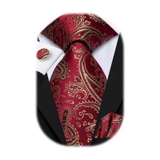 Hi-Tie Silk Paisley Ties for Men Necktie Pocket Square Cufflinks Set Foral Ti...