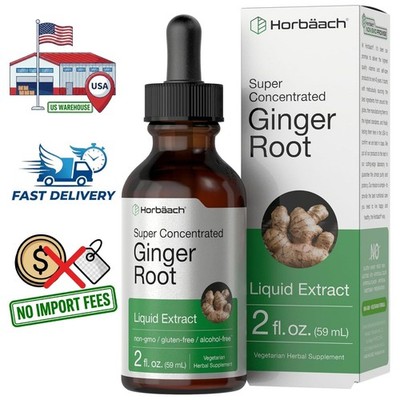 Ginger Root Liquid Extract 2 fl oz (59 mL) | Super Concentrated | Alcohol Free