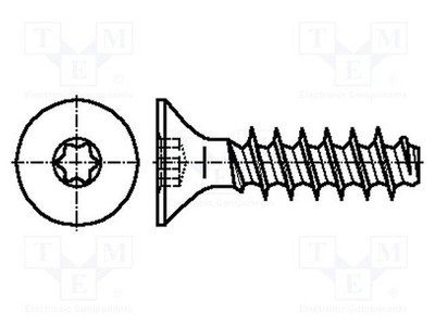 Zink Kopf: Senkkopf Torx TX20 Schraube 4x25 für Kunststoff