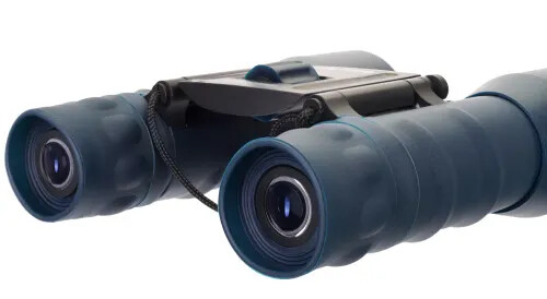 Binocolo Levenhuk Discovery Gator 16x32 - Foto 11 di 13