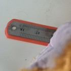 Picture 10 of 10