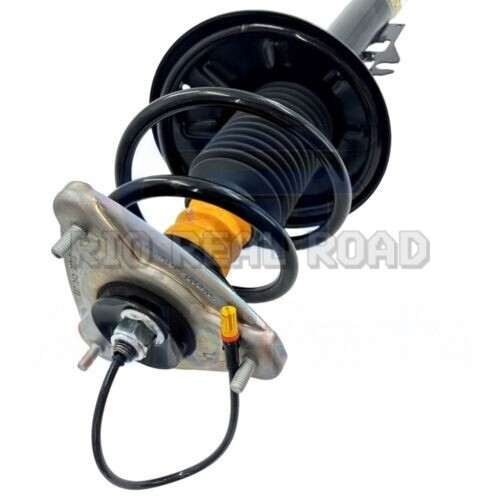 Front Shock Struts Assy w/PASM For Porsche 911 997 Carrera Targa
