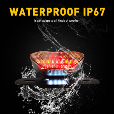Motor-Riding 16 LED Integrated Tail Light For Motorcycle/ATV/Quad - Brake/Turn/License Plate, Black/Red