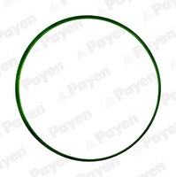 Payen Dichtung, AnsaugkrüMmer U.A. FüR CitroËN, Mini, Peugeot