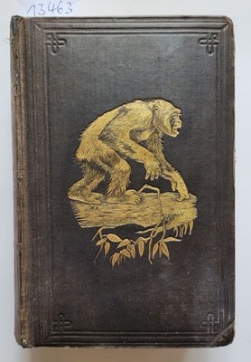 Explorations and Adventures In Equatorial Africa : ( Erstausgabe ) : Du Chaillu,