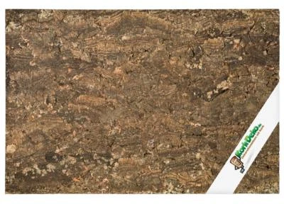 KORK-DEKO XL Kork Platte, Kork Rückwand, für Terrarium, 60x30 cm 600x300 mm | gereinigt |