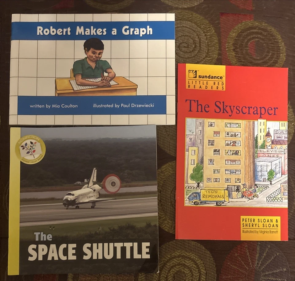 Lot 11 Leveled Readers books pioneer valley rigby PM F & P NEW levels C - H - Image 4 of 4