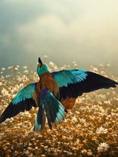 real bird taxidermy wall mount 2025