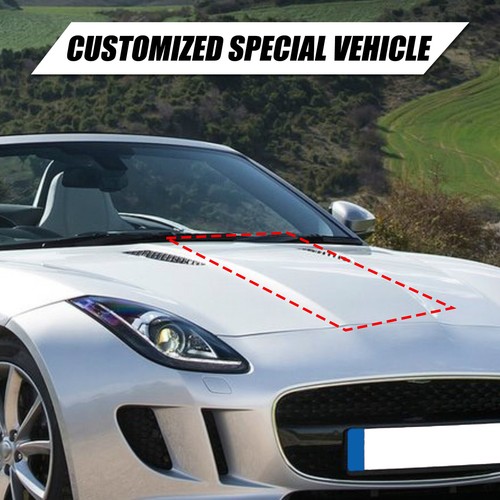 Topographic Map Hood Racing Stripe Sticker For Jaguar F-TYPE 2013-2022 - Picture 10 of 15
