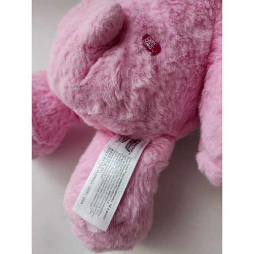 Care Bears Hopeful Heart Bär 14 Zoll Plüsch 2021 Regenbogen - Bild 3 von 5