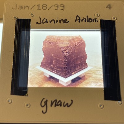 Janine Antoni  Gnaw  American Modern Art 35mm Slide