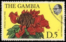 GAMBIA 366 - African Tulip Tree 