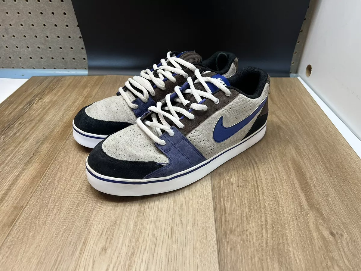 Nike Ruckus Low Skateboarding Granite Wicked Purple 395770 001