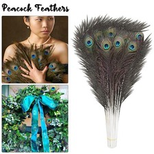10-100x Peacock Tail Feathers Natural for Bouquet Millinery Craft DIY S/M/L