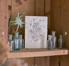 Hobonichi HON A6 Notebook Pocket Size Used for Planning or Journaling