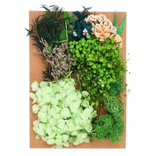 Pressed Flowers Bulk Dried Flowers Natural Pressed Flowers Leaves Green Series