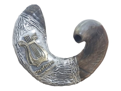 Gran enorme shofar enchapado en plata esterlina carnero cuerno 24" - 60 cm arpa de David - Imagen 5 de 14