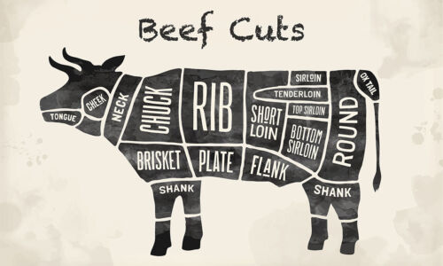 Master Butchers Beef Cow Cuts of Meat Wall Art Self Adhesive Vinyl Sticker V1* - 第 1/2 張圖片