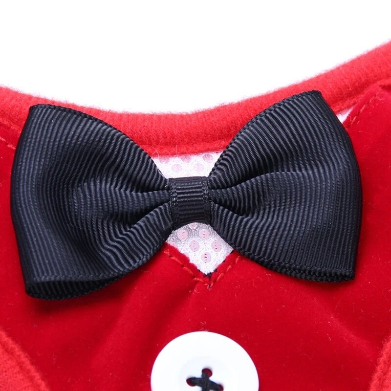 Dog Harness with Leash Set No Choke Puppy Breathable Vest for Small Dog