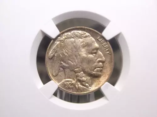 1920 "P" Indian Head BUFFALO Nickel 5c NGC MS61 #020 Uncirculated Unc ECC&C, Inc
