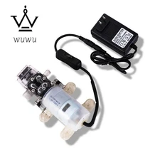 Beer & Wine Self-priming Transfer Pump Kit Food Grade Diaphragm Water Pumps NEW