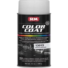 COLOR COAT Clears - Satin Gloss Clear 3 Count SEM-13013
