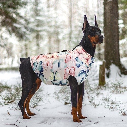 Dog Coat Windproof Winter Pink Girl Dog 