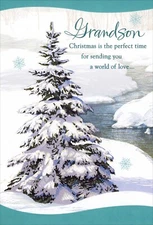 Loving & Heartfelt MERRY CHRISTMAS Card FOR GRANDSON, Snow Tree by Hallmark +✉