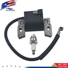 Ignition Coil to Eliminate Points 5hp For Briggs & Stratton 397358 395491 298316