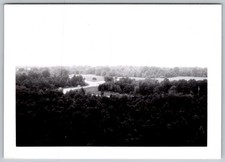 Vtg B&W Snapshot Scenic Wooded Aerial View Forest Road Landscape B&w 1988
