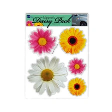 Magnet Variety Pack (5 Magnets) - Daisy Flowers (Multiple Colors)