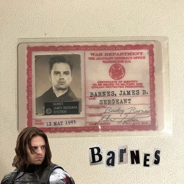 Winter Soldier ID Card Badge PVC Collectible